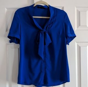 The Limited blue button down blouse
